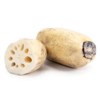 Lotusrot
