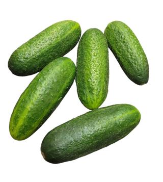 Västeråsgurka Sverige