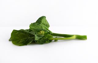 Broccoli blad kailan