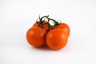 Tomat kvist orange