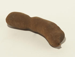 Tamarind