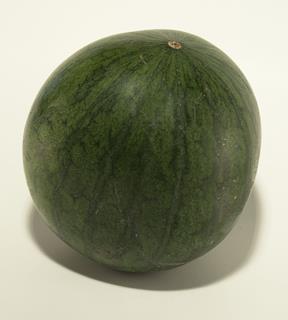 Melon vattenmelon gul