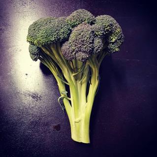 Broccoli Broccoloco