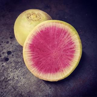 Melonrädisa