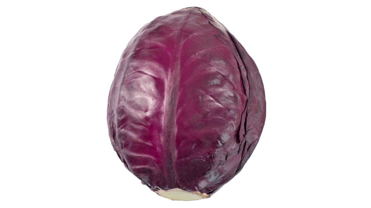 Rödkål, guide kål.
