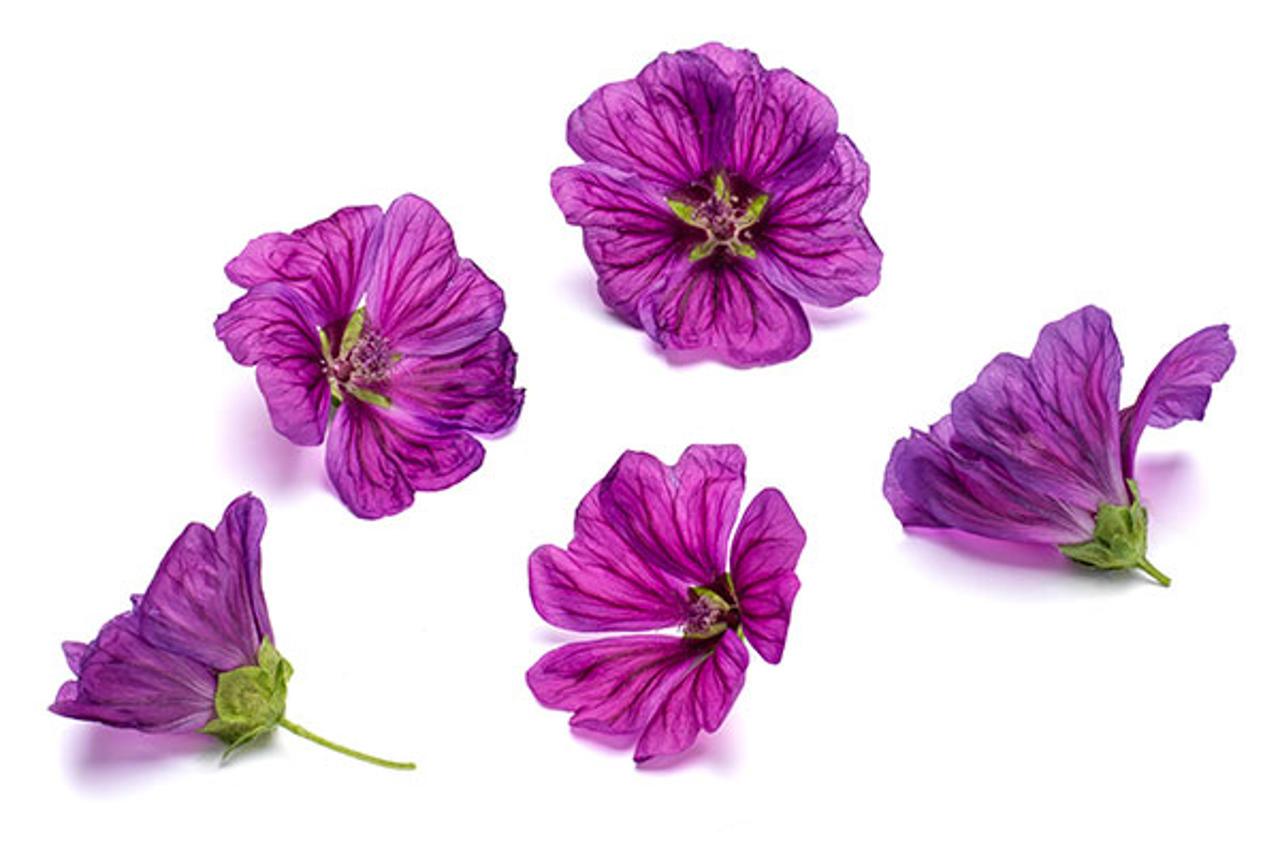 Ätbara blommor, röd malva.