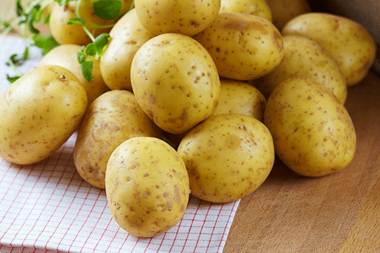Färskpotatis.