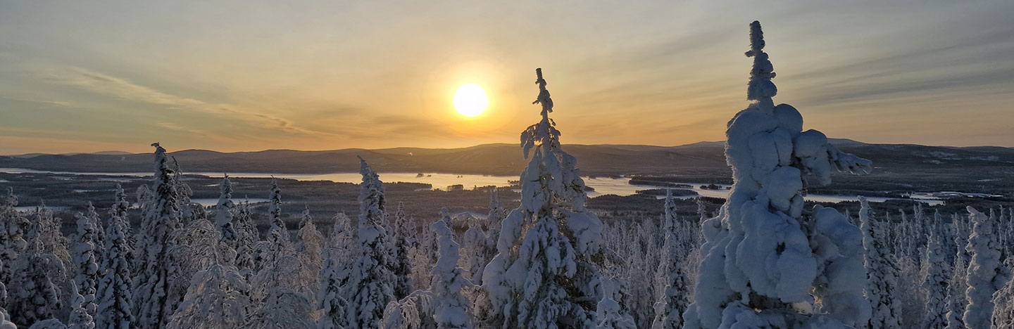 Njalgies – smak och tradition från Arvidsjaur
