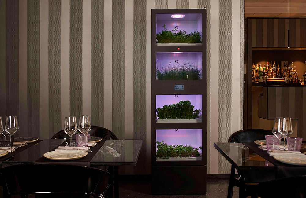 Med hydroponiska odlingsskåp från Hydroponic kan du odla färska örter, sallader och bladgrönt direkt i ditt kök – året runt.