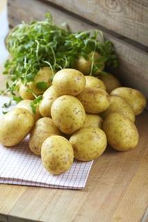 Potatis Medel 10 kg Tvättad Sverige